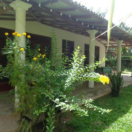 Green Valley Home Stay タール エクステリア 写真